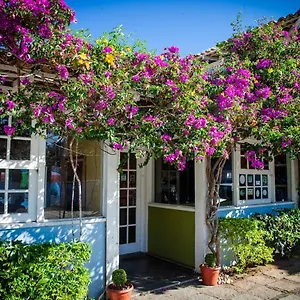Salvia Geribá Fishbone Zone Inn Búzios